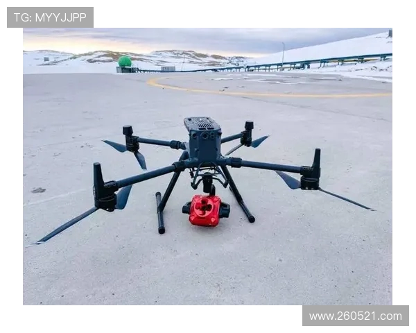 无人机在极地环境下的低温启动技术